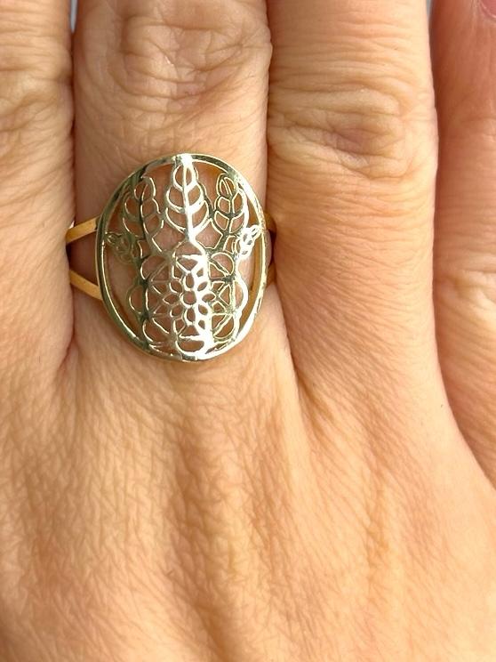 Anillo 10k