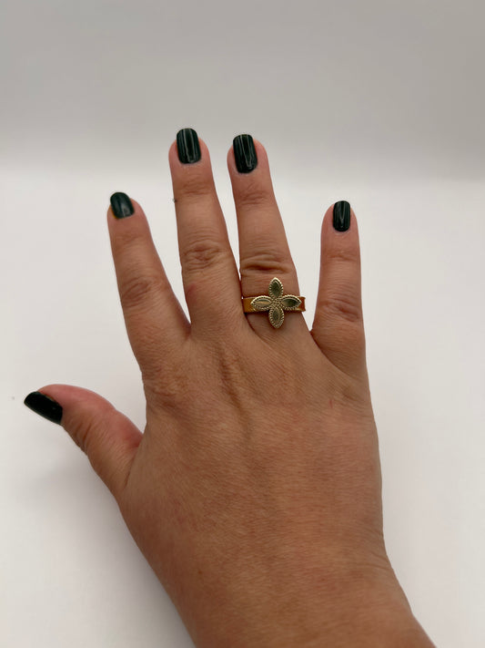 Anillo 10 k