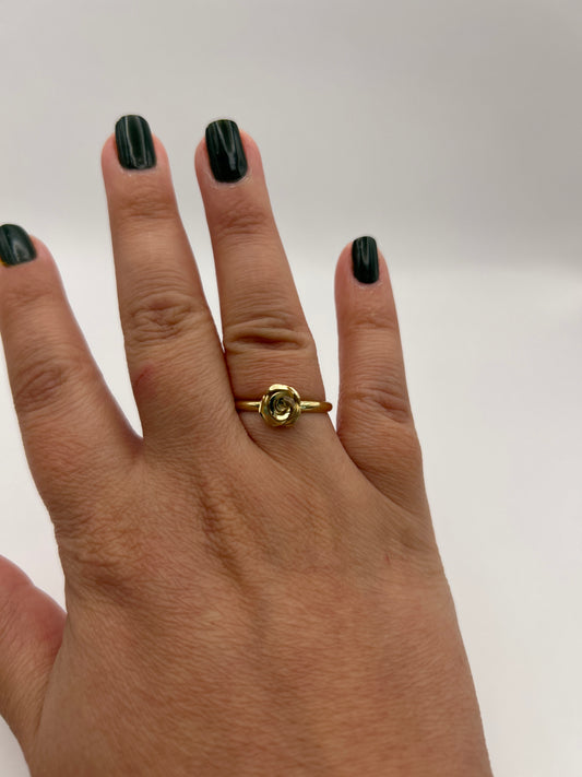 Anillo 10 k