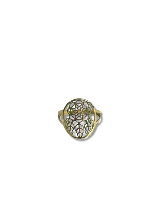 Anillo 10k